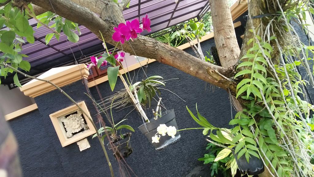 Roemah Canting Homestay Jogyakarta Zewnętrze zdjęcie